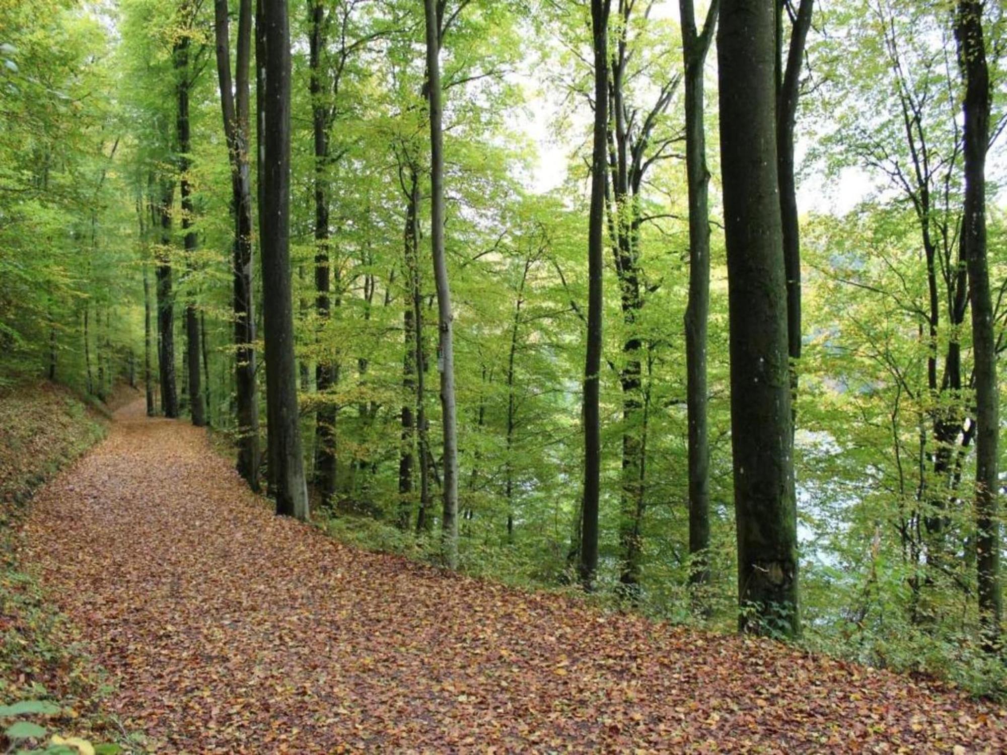 Apartment With Garden In A Wooded Setting Auw bei Prum ภายนอก รูปภาพ